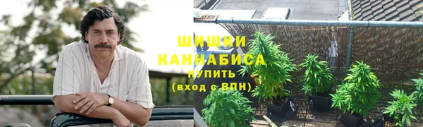 каннабис Аркадак