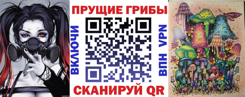 Псилоцибиновые грибы MAGIC MUSHROOMS  гидра рабочий сайт  Карачаевск  цена наркотик 