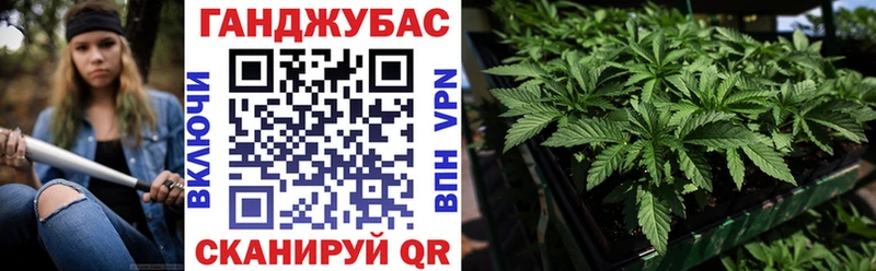 МАРИХУАНА ГИДРОПОН  Карачаевск 